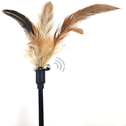 Feather Worm Teaser Cat Wand
