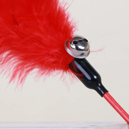 Feather Worm Teaser Cat Wand