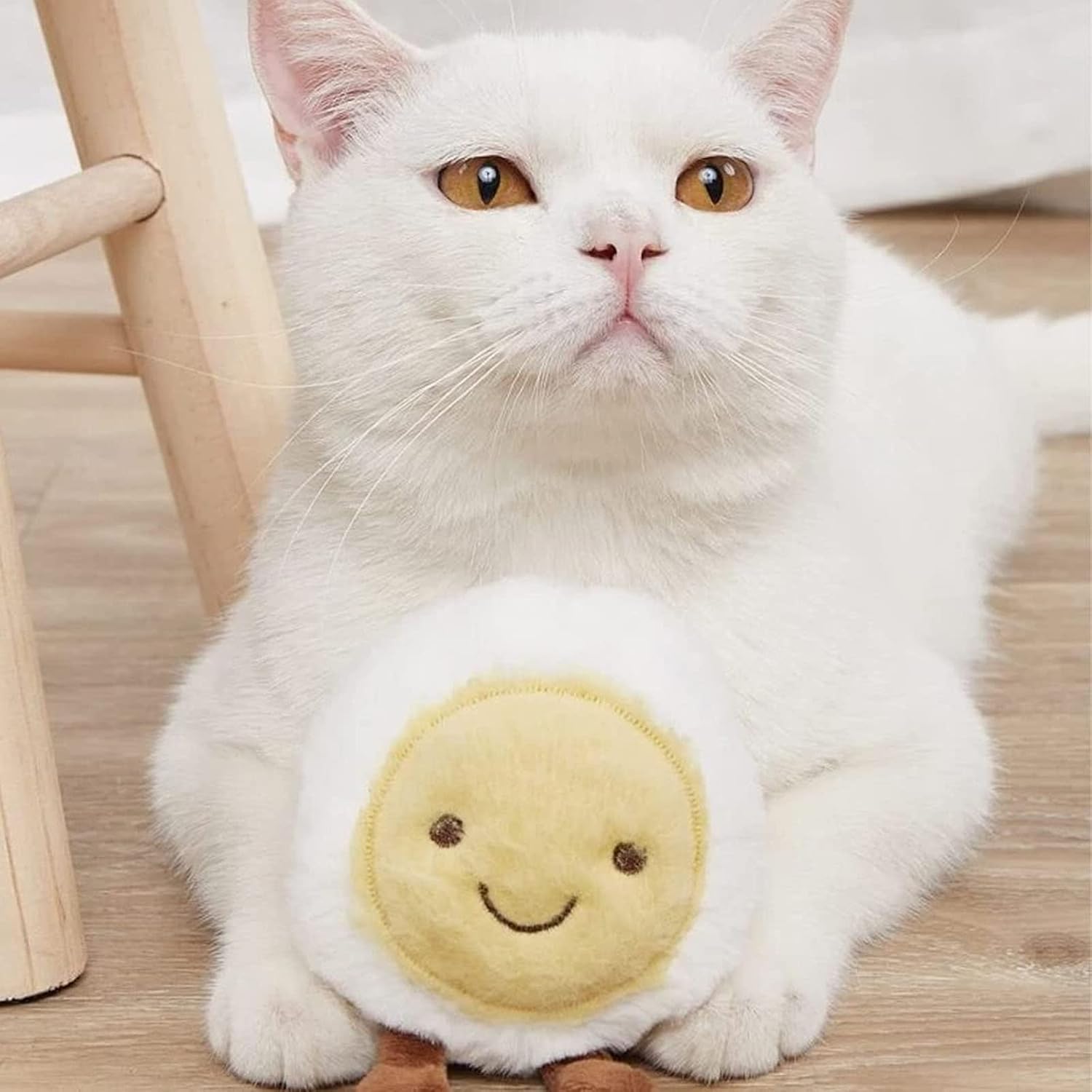 Interactive Soft Plush Toy for Cats