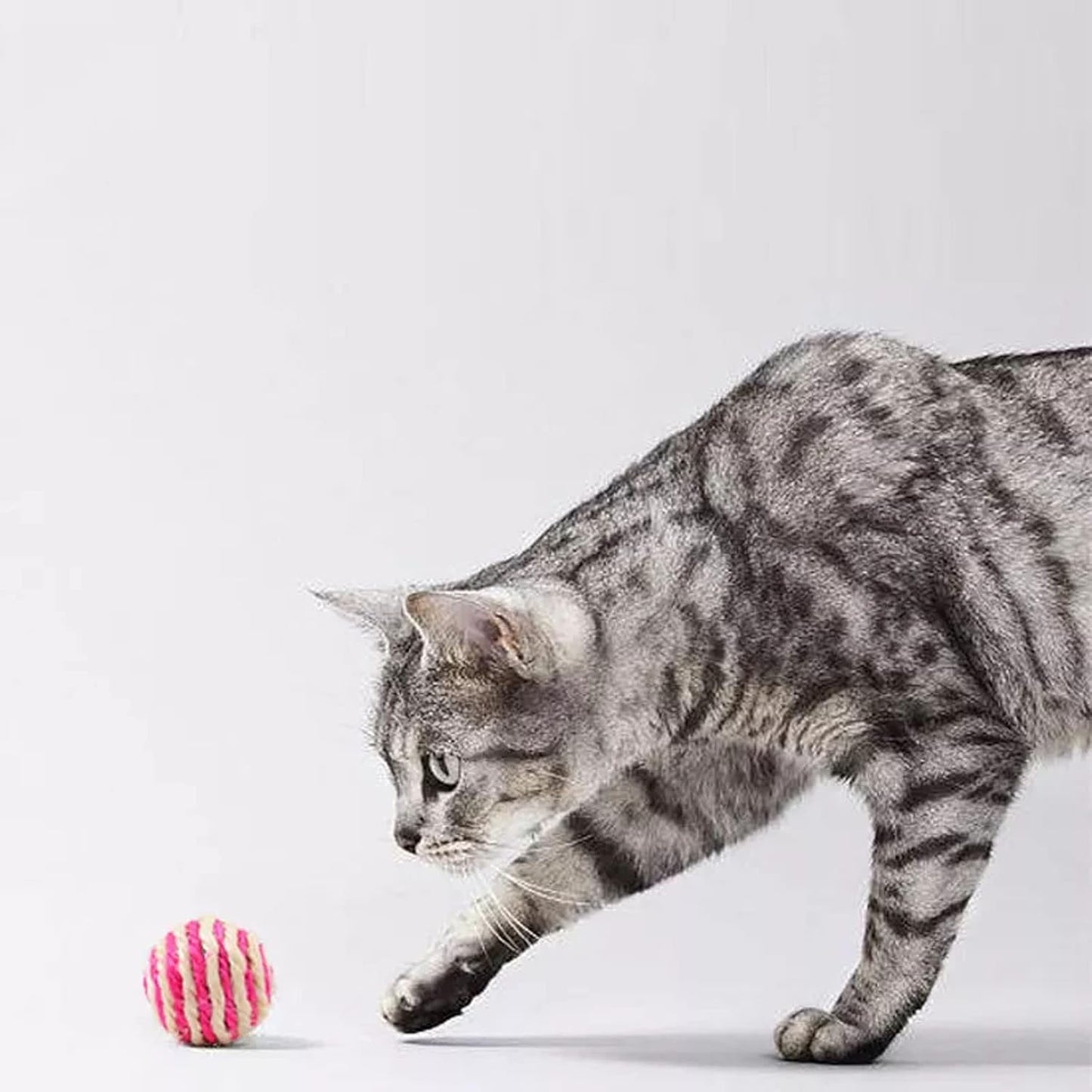 Sisal Rattle Cat Ball Toy