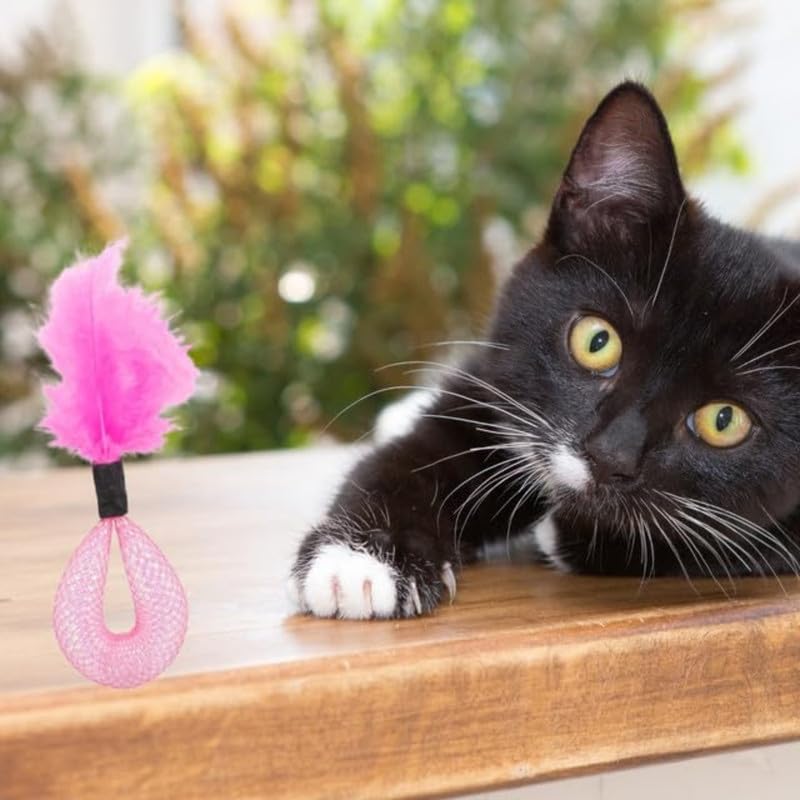 Colorful Spring Toys for Cats 2 pcs