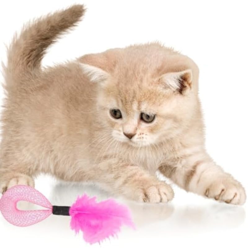 Colorful Spring Toys for Cats 2 pcs