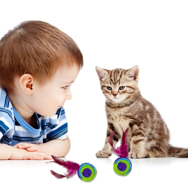 Cat Colorful Rainbow Toys