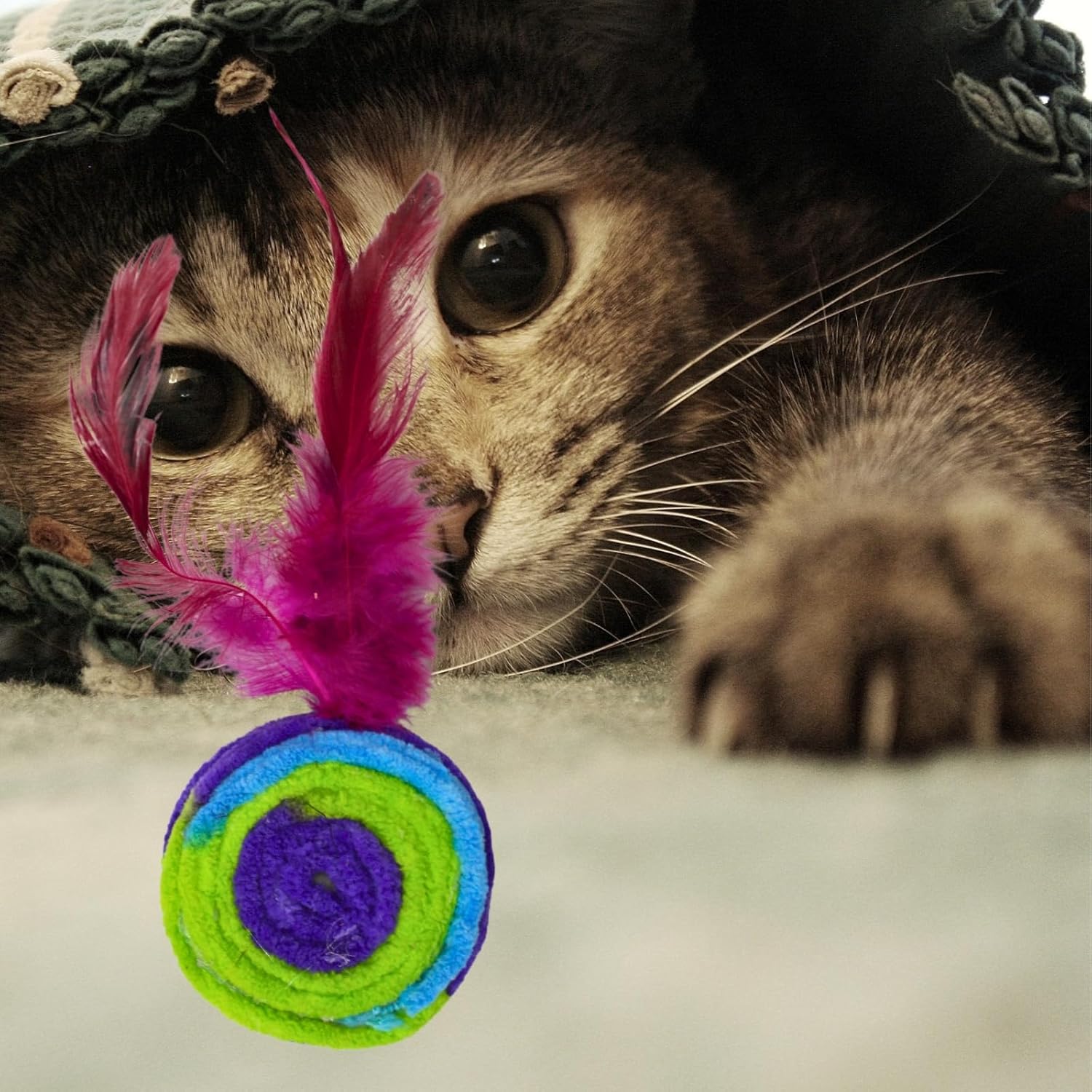 Cat Colorful Rainbow Toys