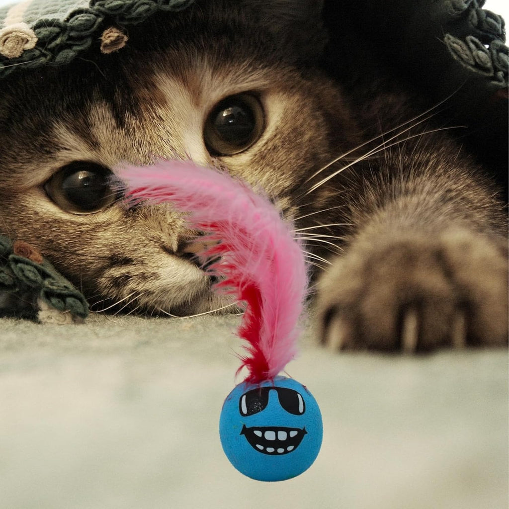 Colorful feather toy ball for Cats