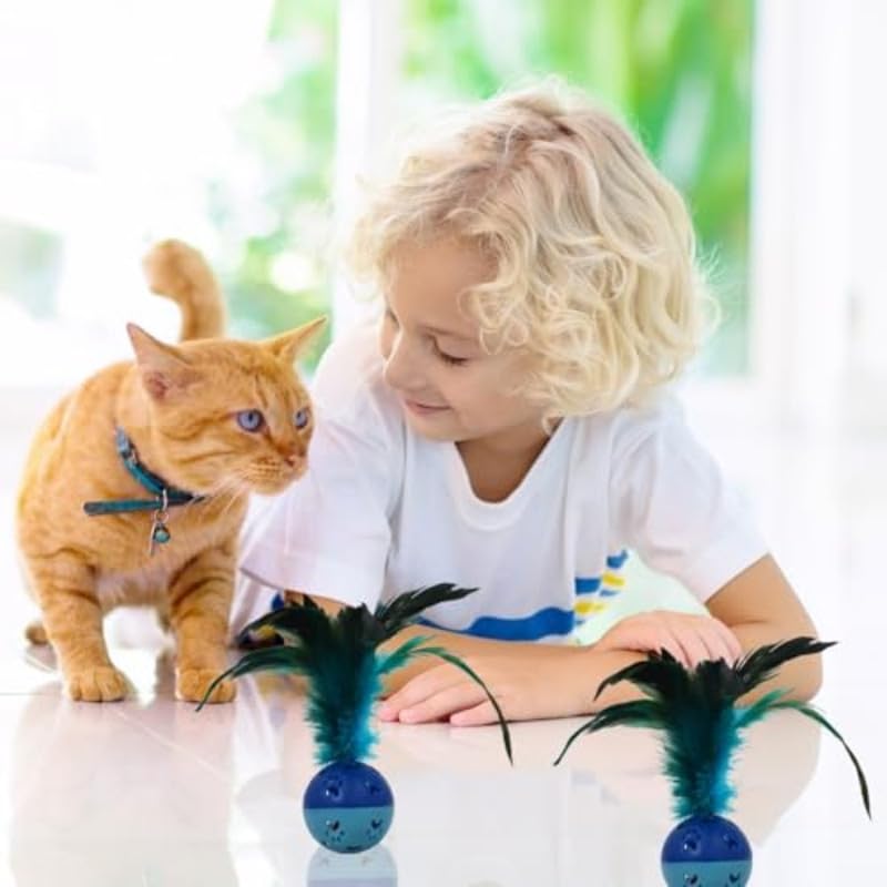 Rainbow Feather Bell Cat Toys 2 pcs