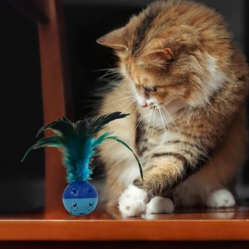 Rainbow Feather Bell Cat Toys 2 pcs