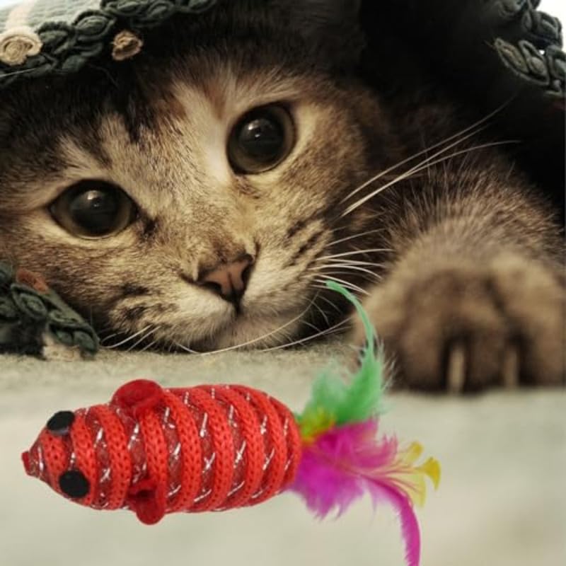 Rainbow Feather Bell Cat Toys 2 pcs