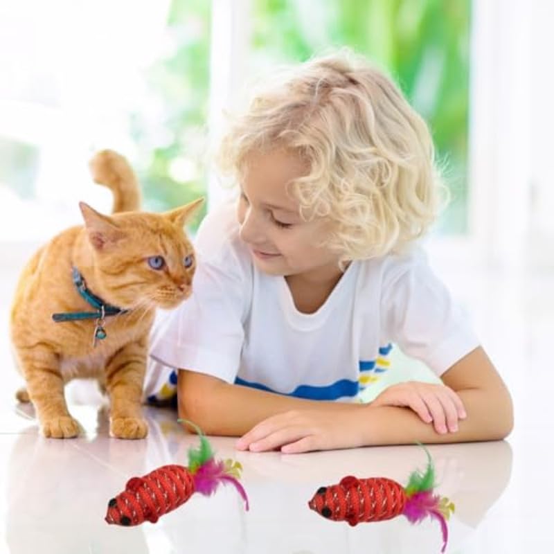 Rainbow Feather Bell Cat Toys 2 pcs