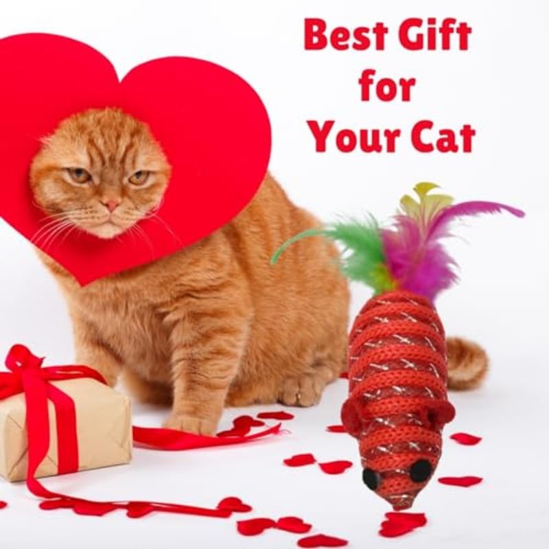 Rainbow Feather Bell Cat Toys 2 pcs