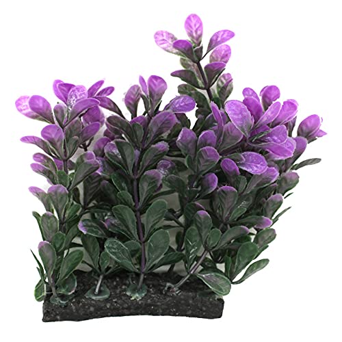 Green Purple Aquarium Grass Plant