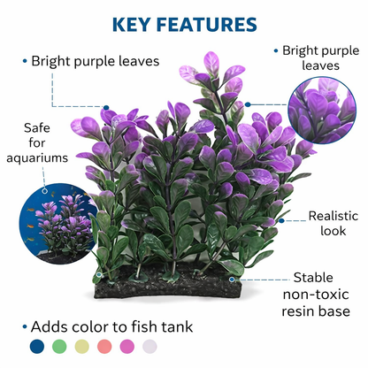 Green Purple Aquarium Grass Plant