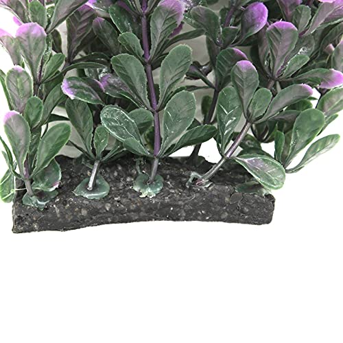 Green Purple Aquarium Grass Plant