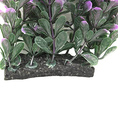 Green Purple Aquarium Grass Plant