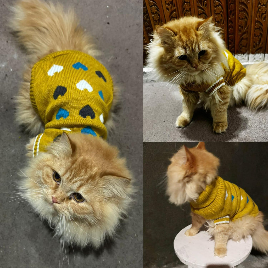 Winter Coat Sweater for Small Pets