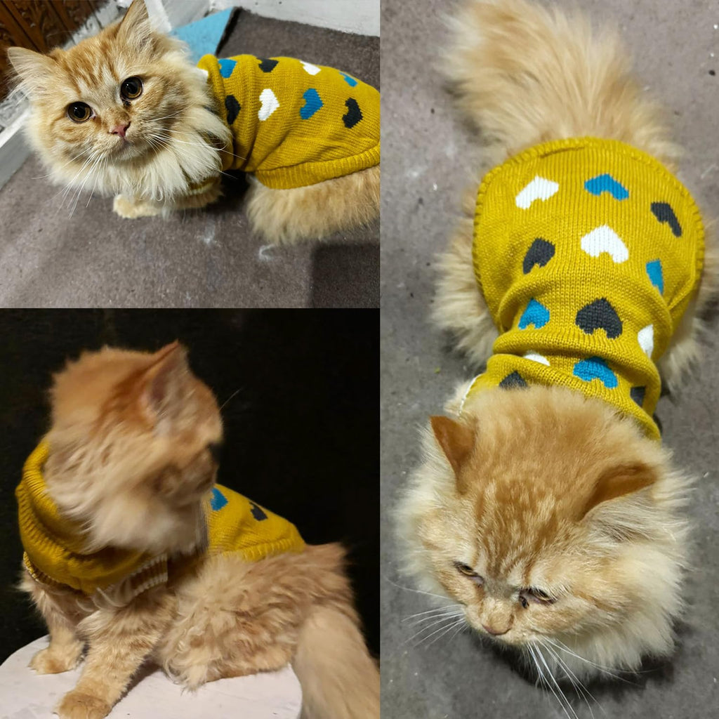 Winter Coat Sweater for Small Pets