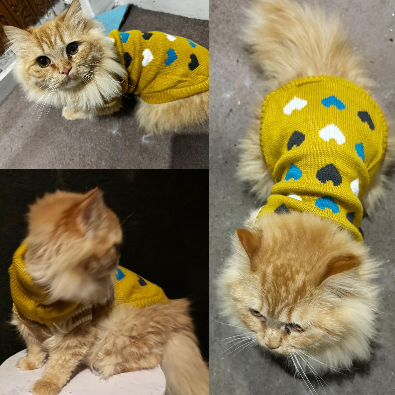 Winter Coat Sweater for Small Pets