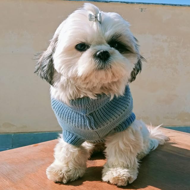 Winter Sweater for Small Size Pets