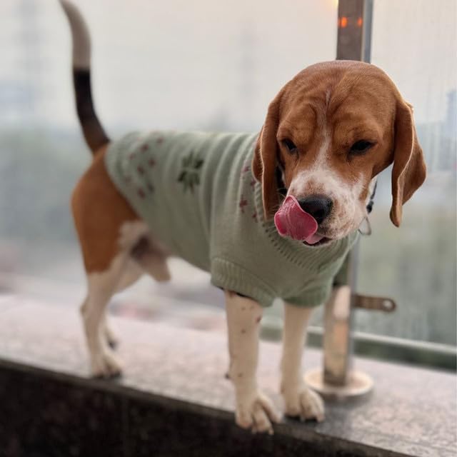 Winter Sweater for for Dogs & Cats