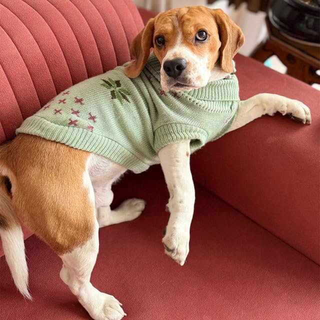 Winter Sweater for for Dogs & Cats