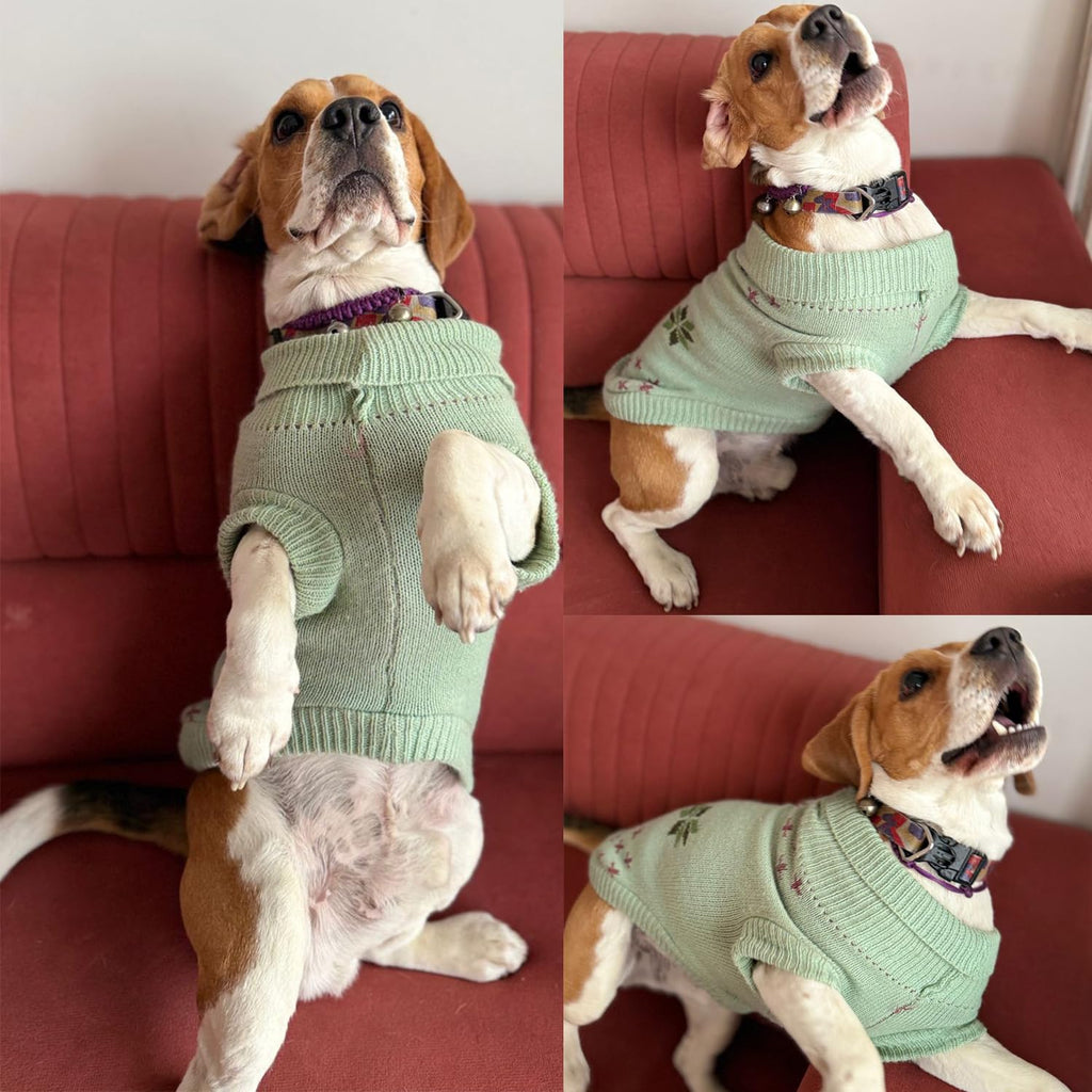 Winter Sweater for for Dogs & Cats