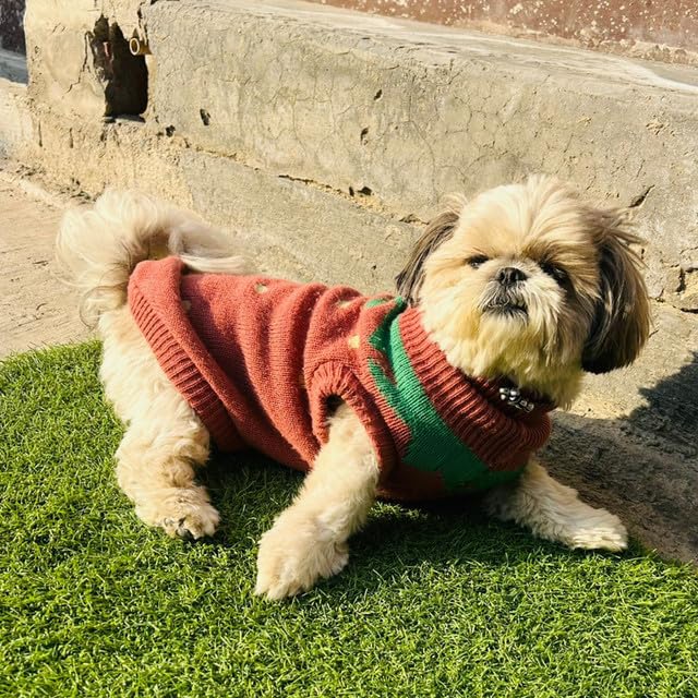 Pet's Sweaters for cold weathers