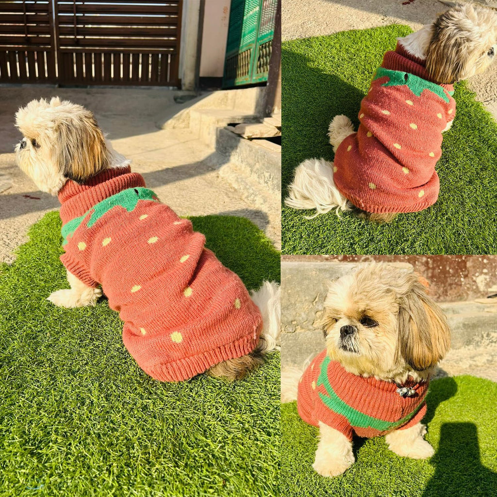 Pet's Sweaters for cold weathers
