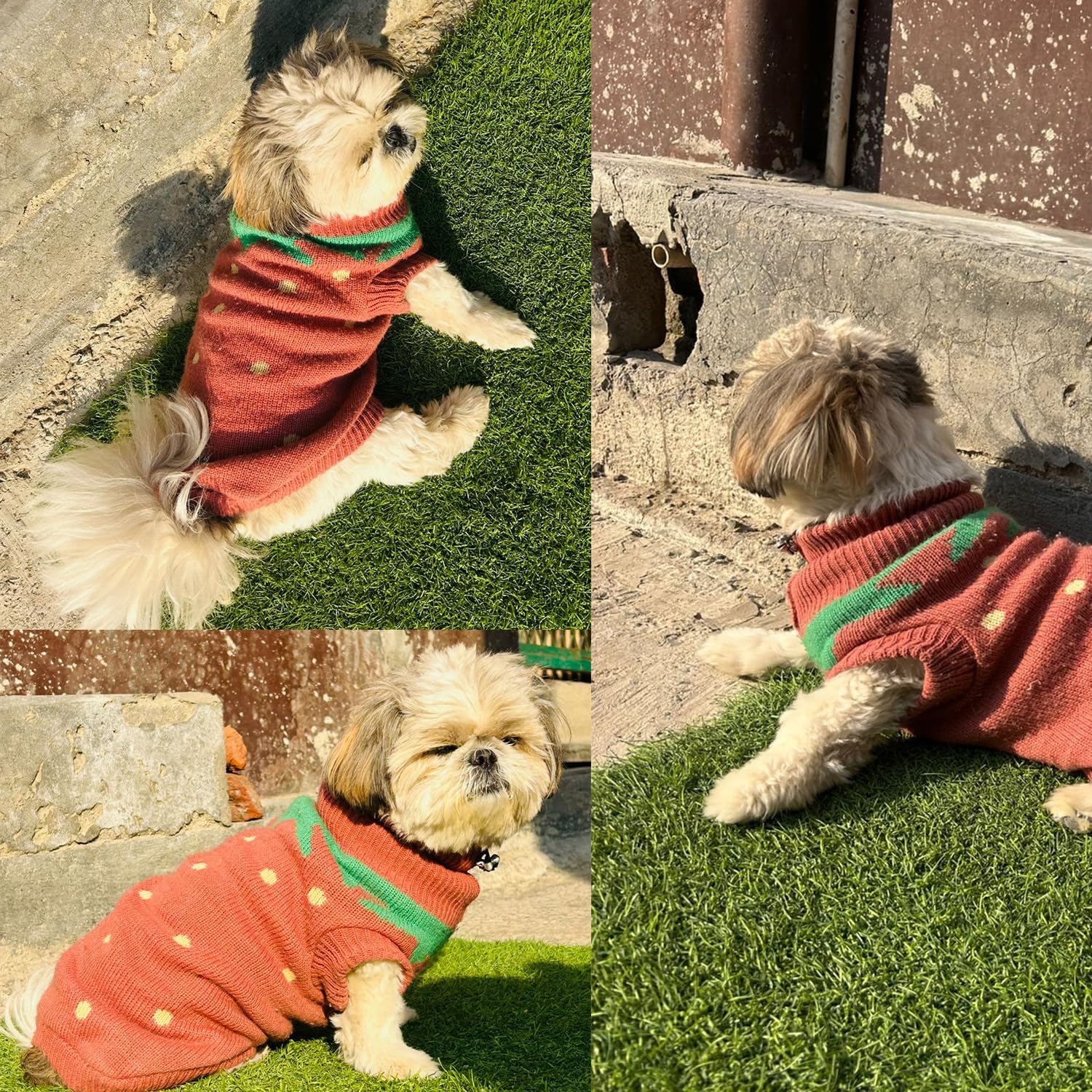 Pet's Sweaters for cold weathers