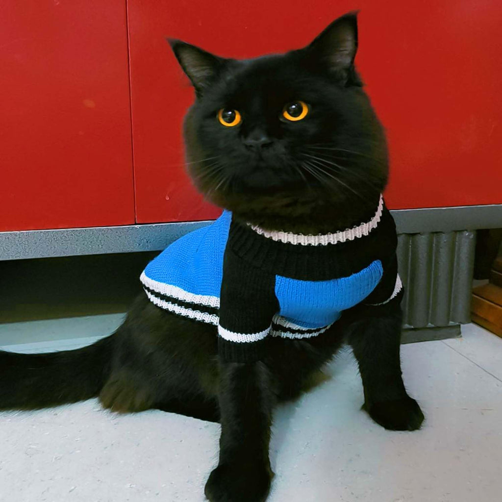 Knitted Winter Sweater for Pets