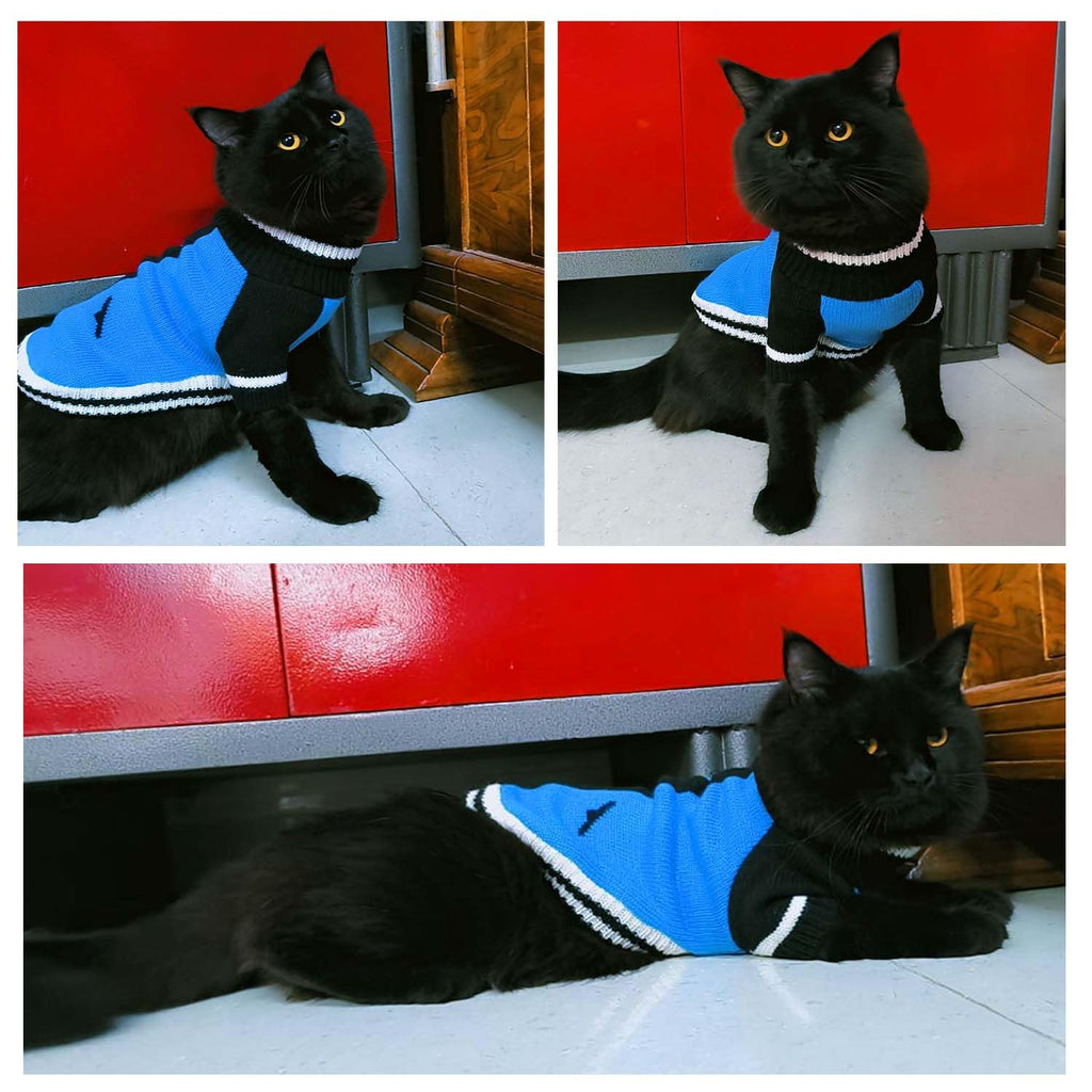 Knitted Winter Sweater for Pets