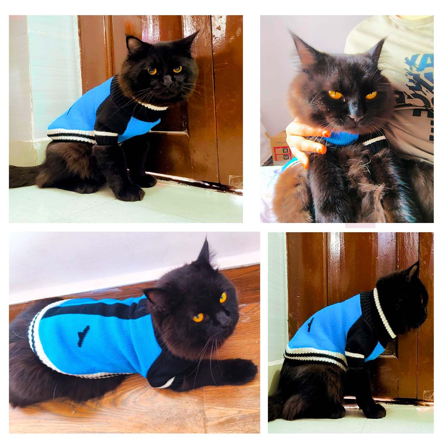 Knitted Winter Sweater for Pets