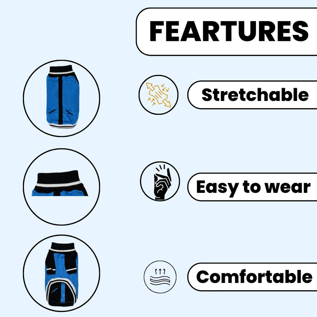 Knitted Winter Sweater for Pets