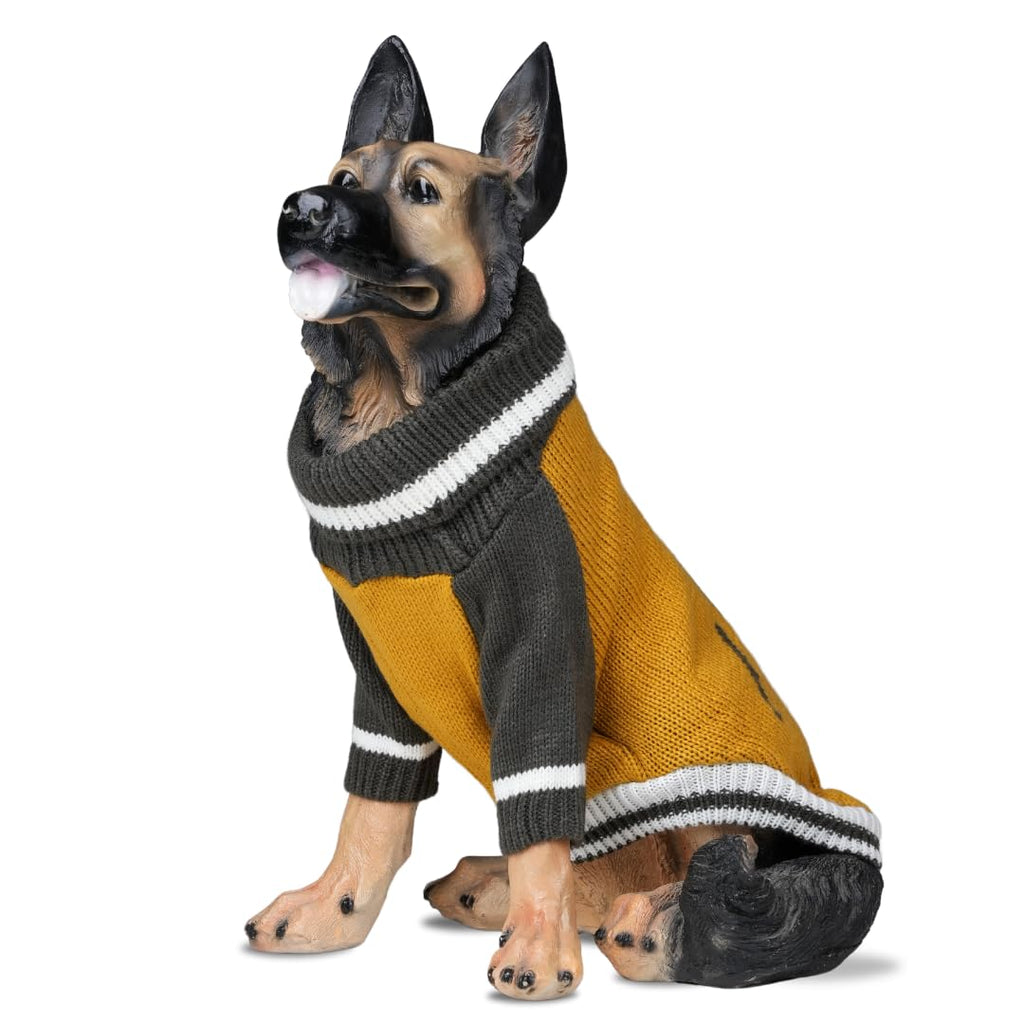 Winter Sweater for Small & Medium Dogs
