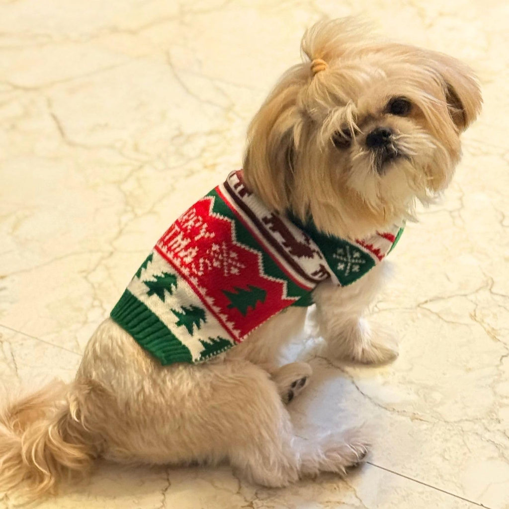 Christmas Dog Sweater for Winters