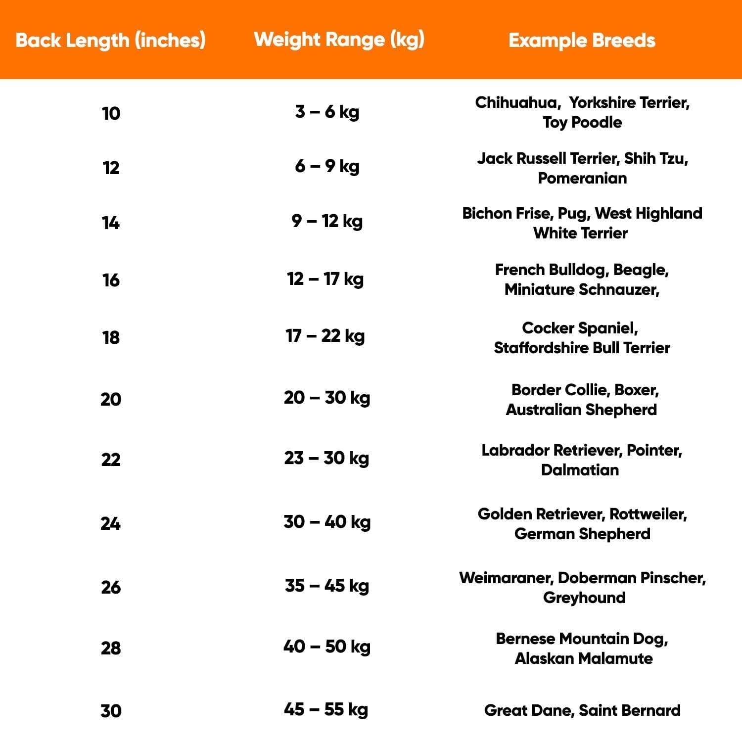 Christmas Dog Sweater for Winters