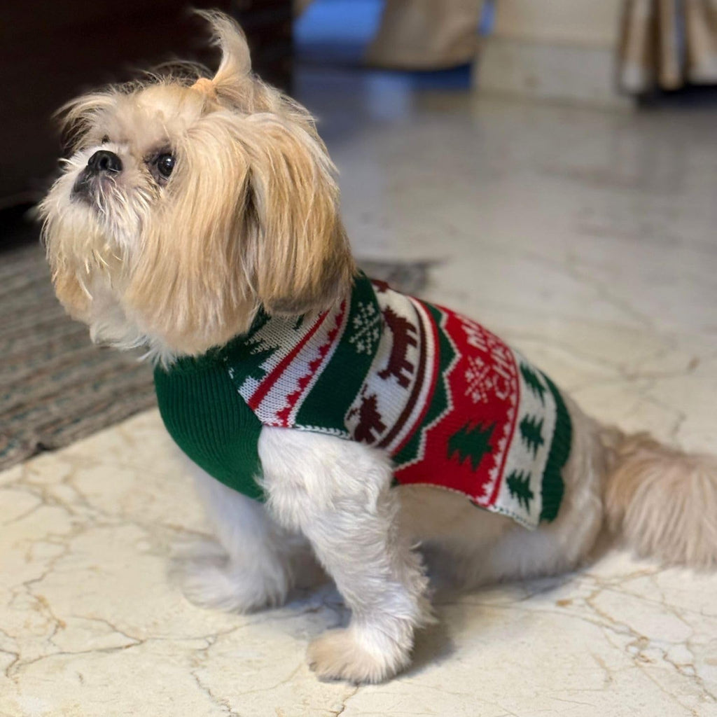 Christmas Dog Sweater for Winters