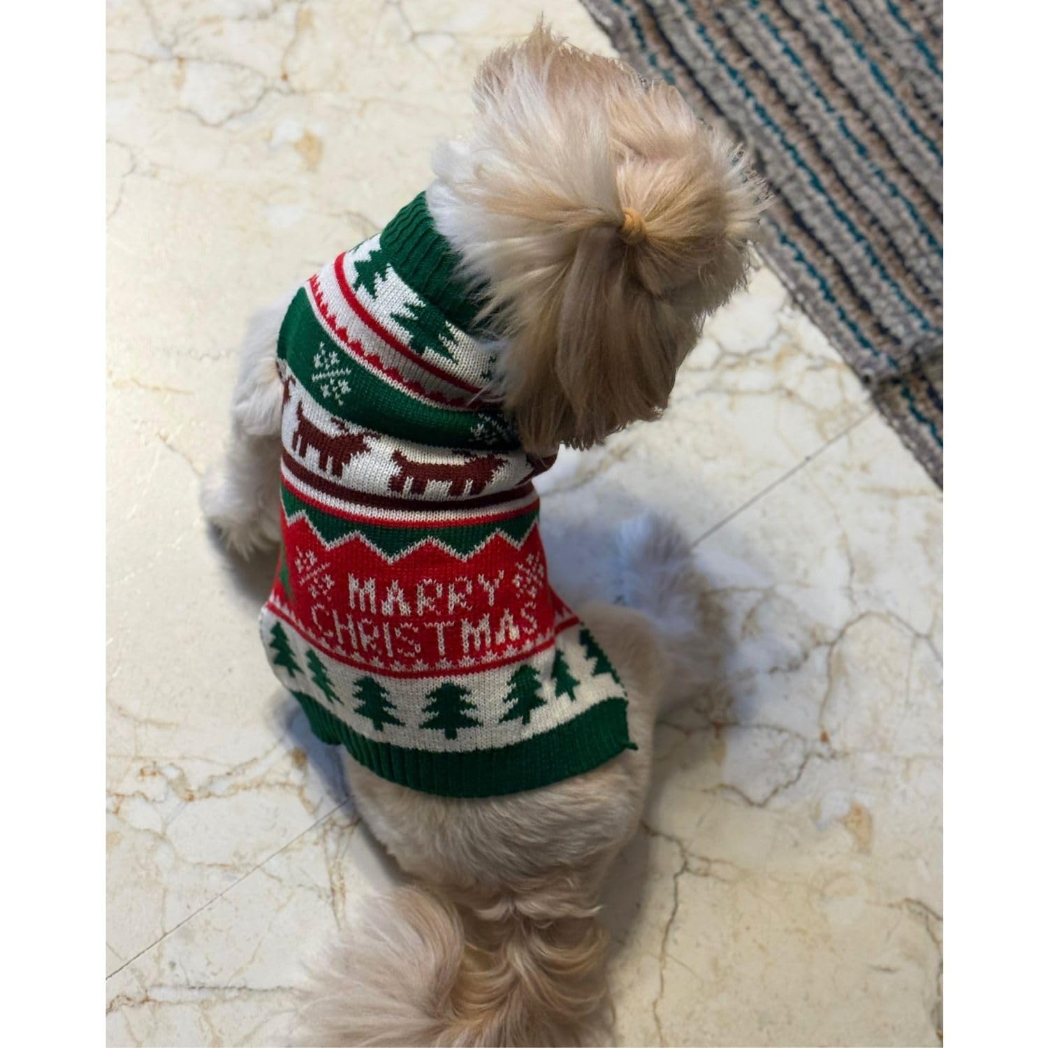 Christmas Dog Sweater for Winters