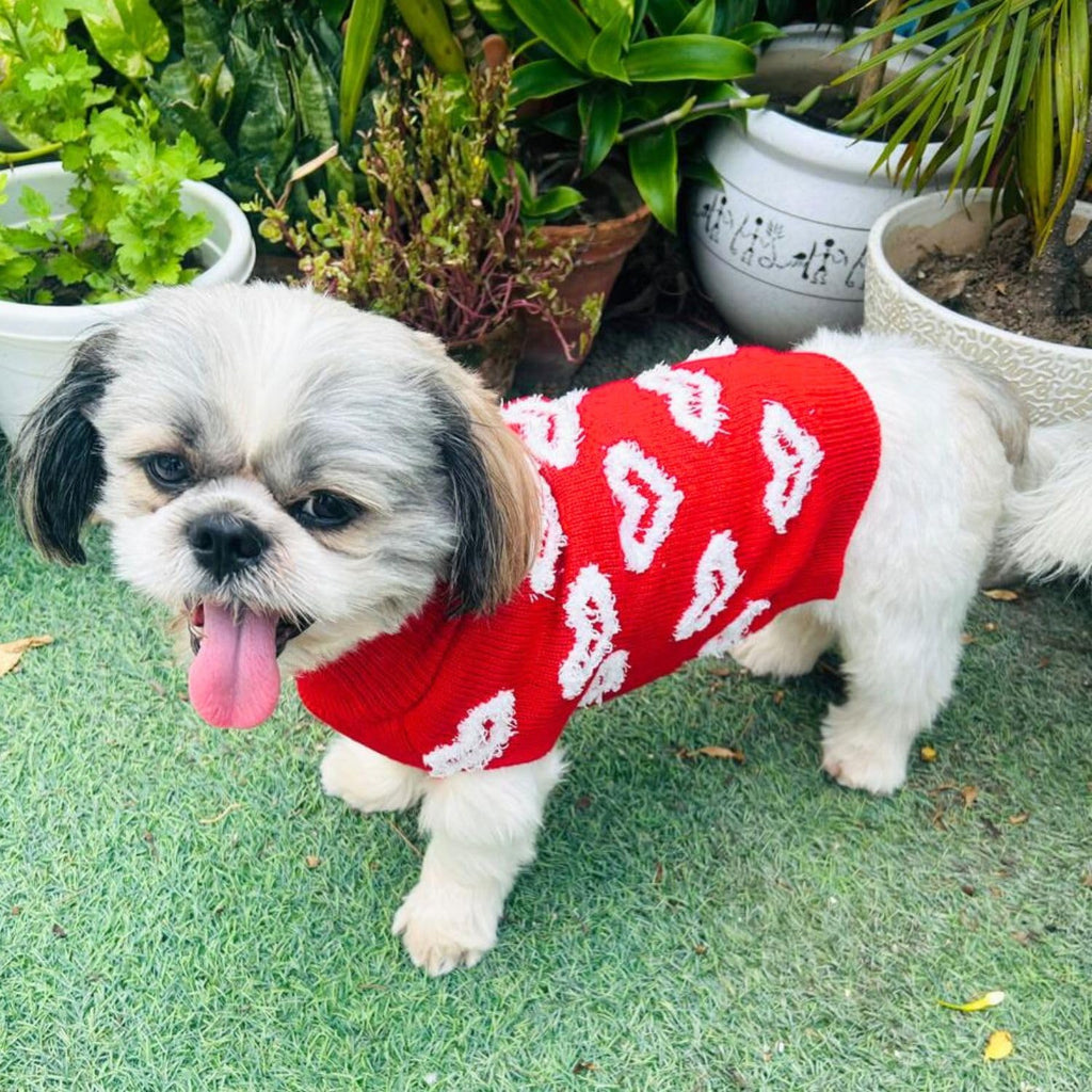 Turtleneck Dog Sweater - Winter Coat Apparel