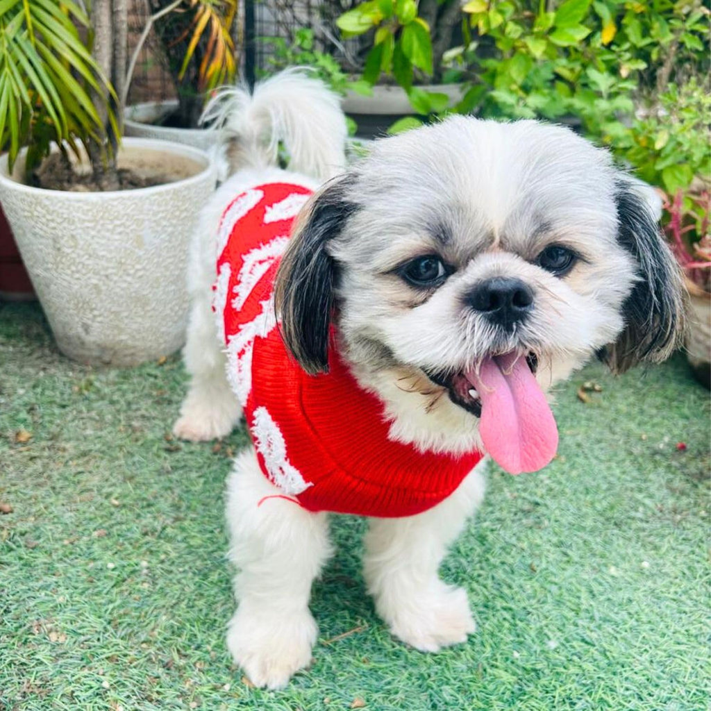 Turtleneck Dog Sweater - Winter Coat Apparel