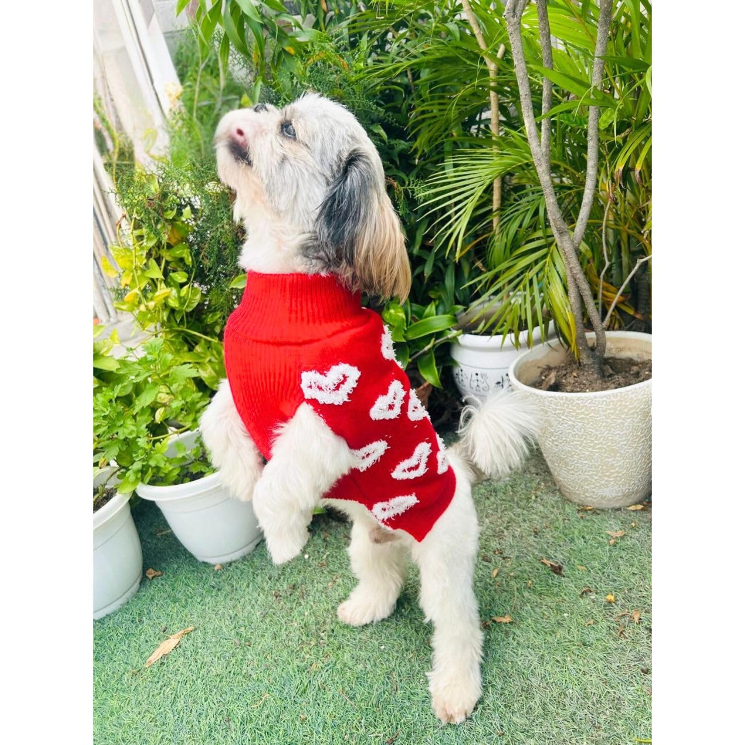 Turtleneck Dog Sweater - Winter Coat Apparel