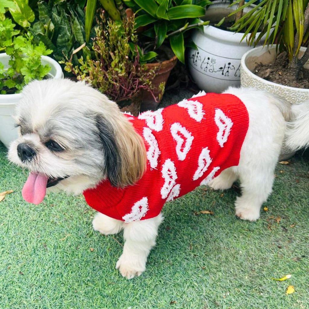 Turtleneck Dog Sweater - Winter Coat Apparel