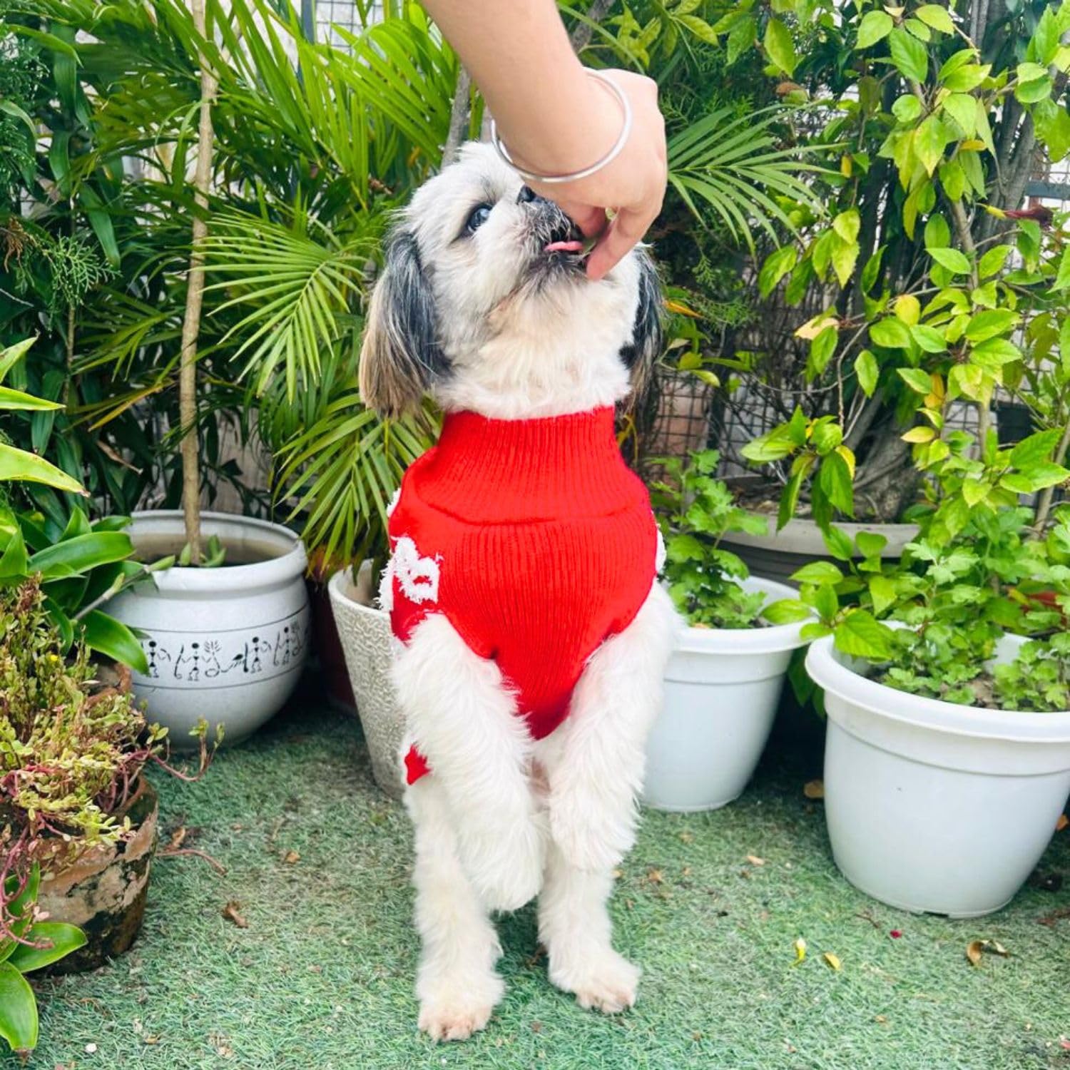 Turtleneck Dog Sweater - Winter Coat Apparel