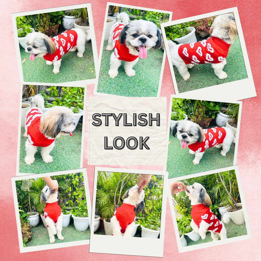 Turtleneck Dog Sweater - Winter Coat Apparel