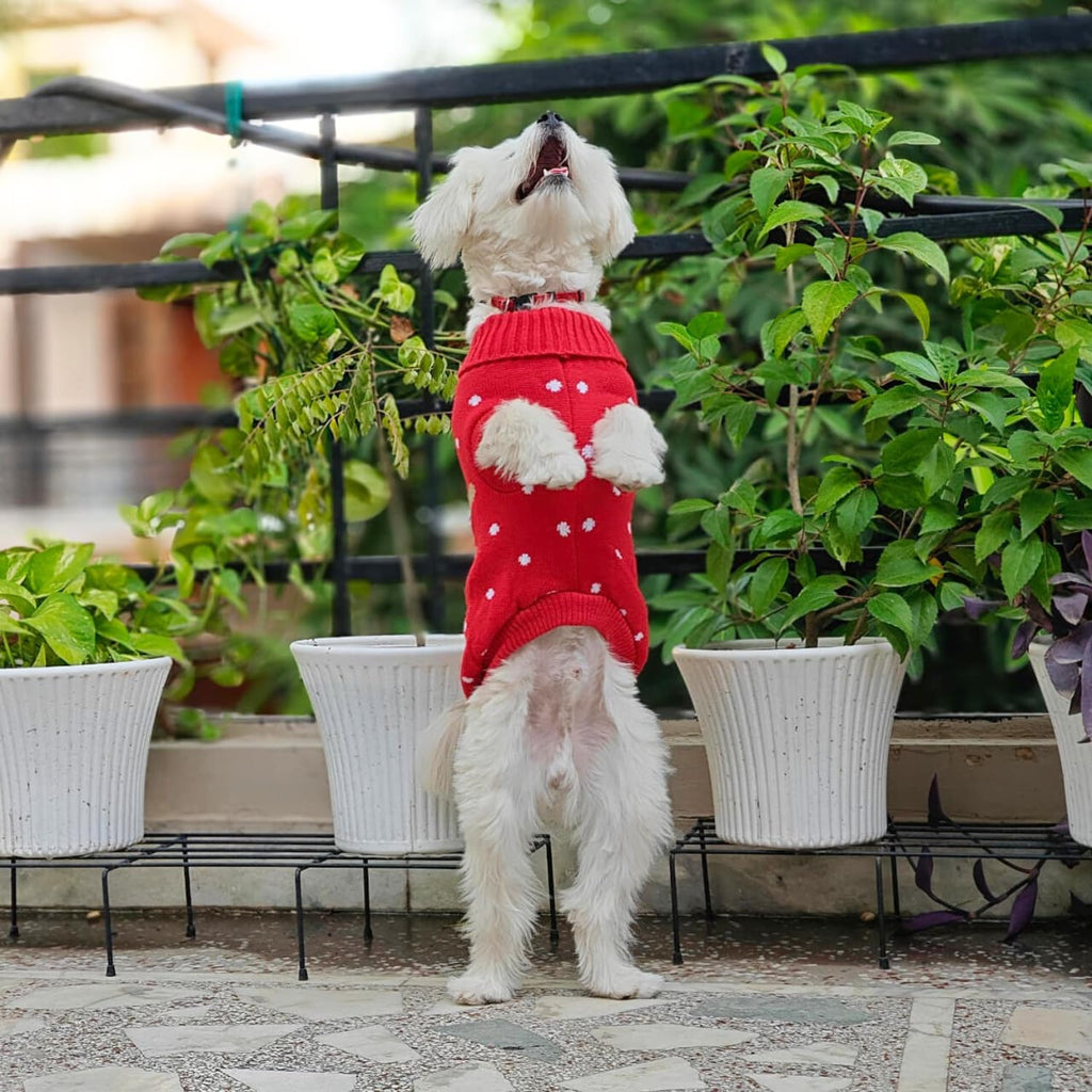 Reindeer Turtleneck Christmas Dog Sweater