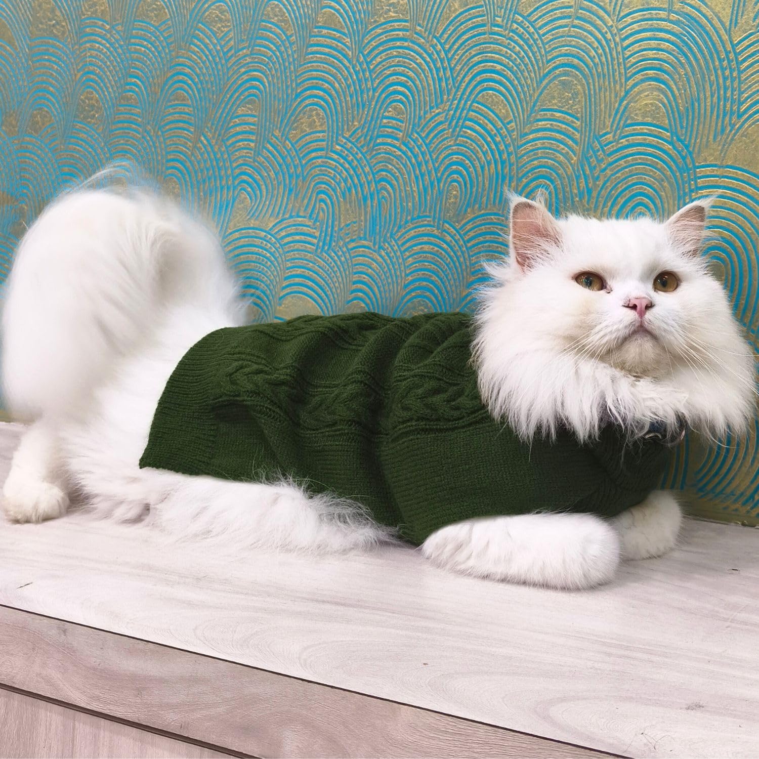 Pet Winter Sweaters Turtleneck design