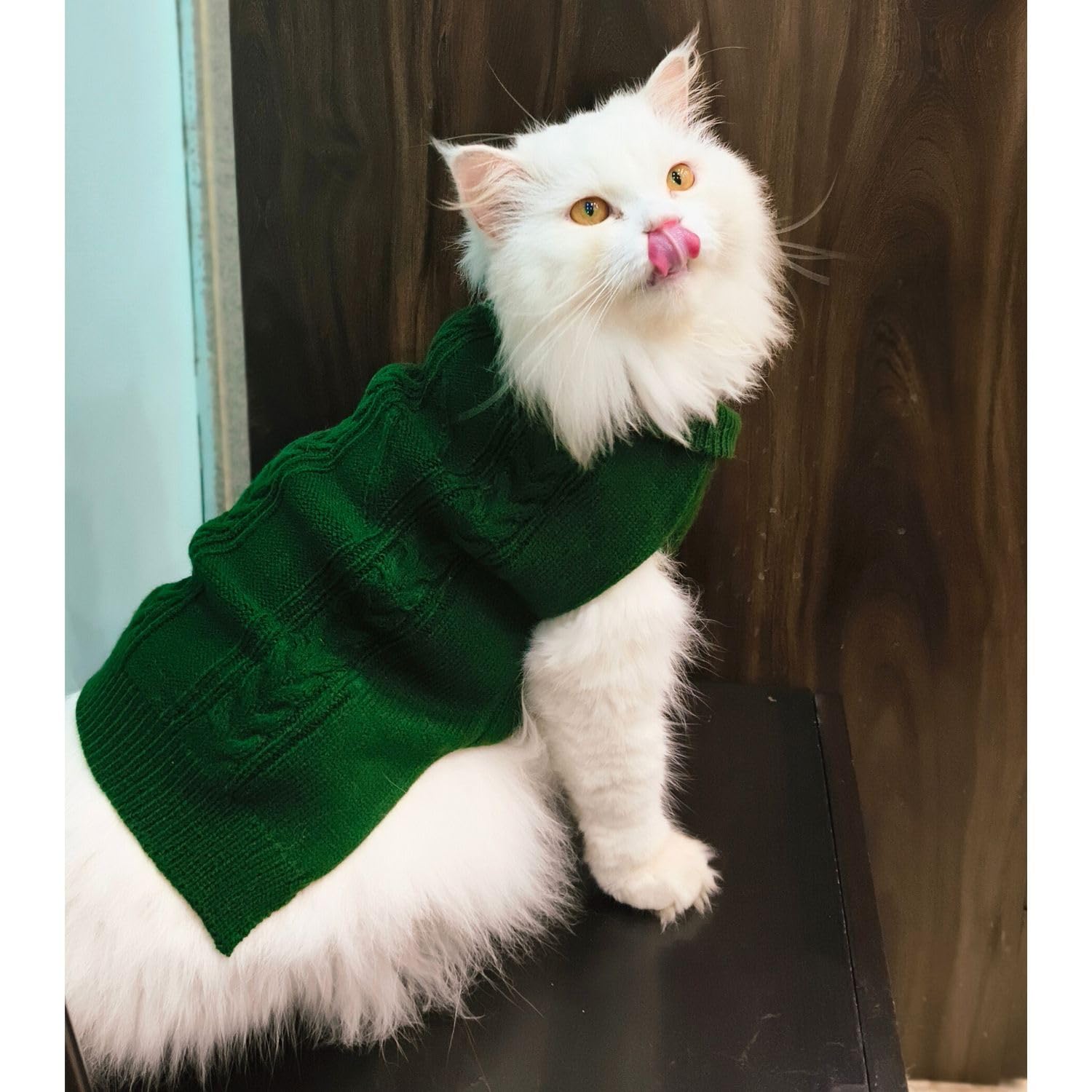 Pet Winter Sweaters Turtleneck design