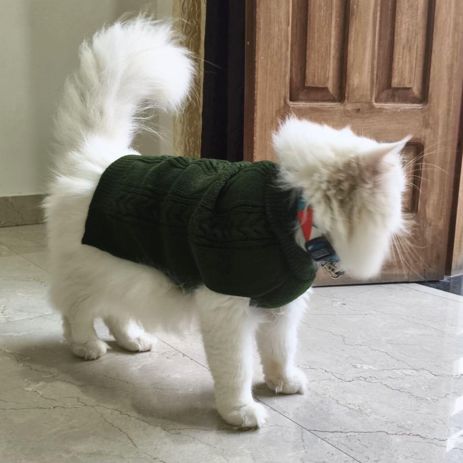Pet Winter Sweaters Turtleneck design