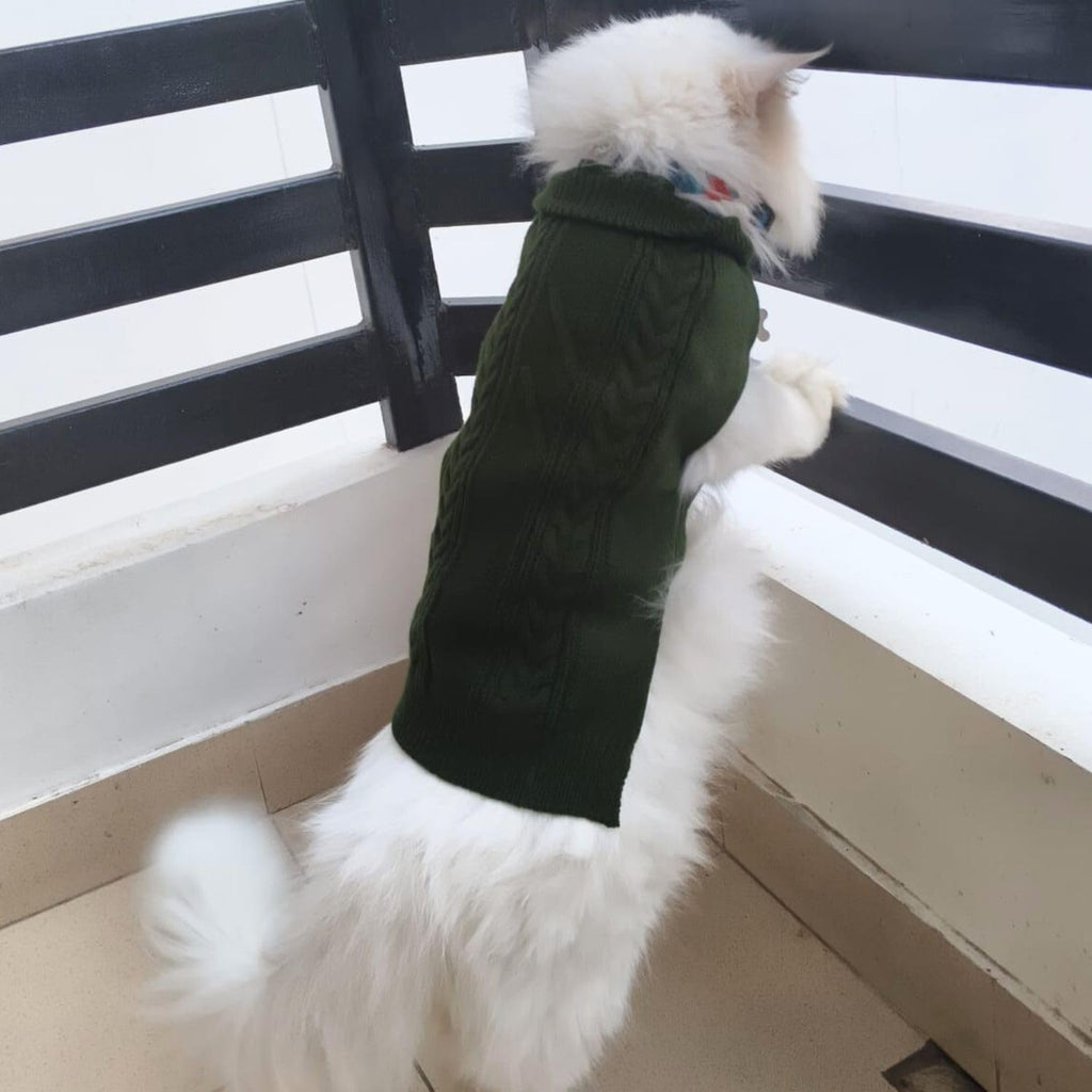 Pet Winter Sweaters Turtleneck design