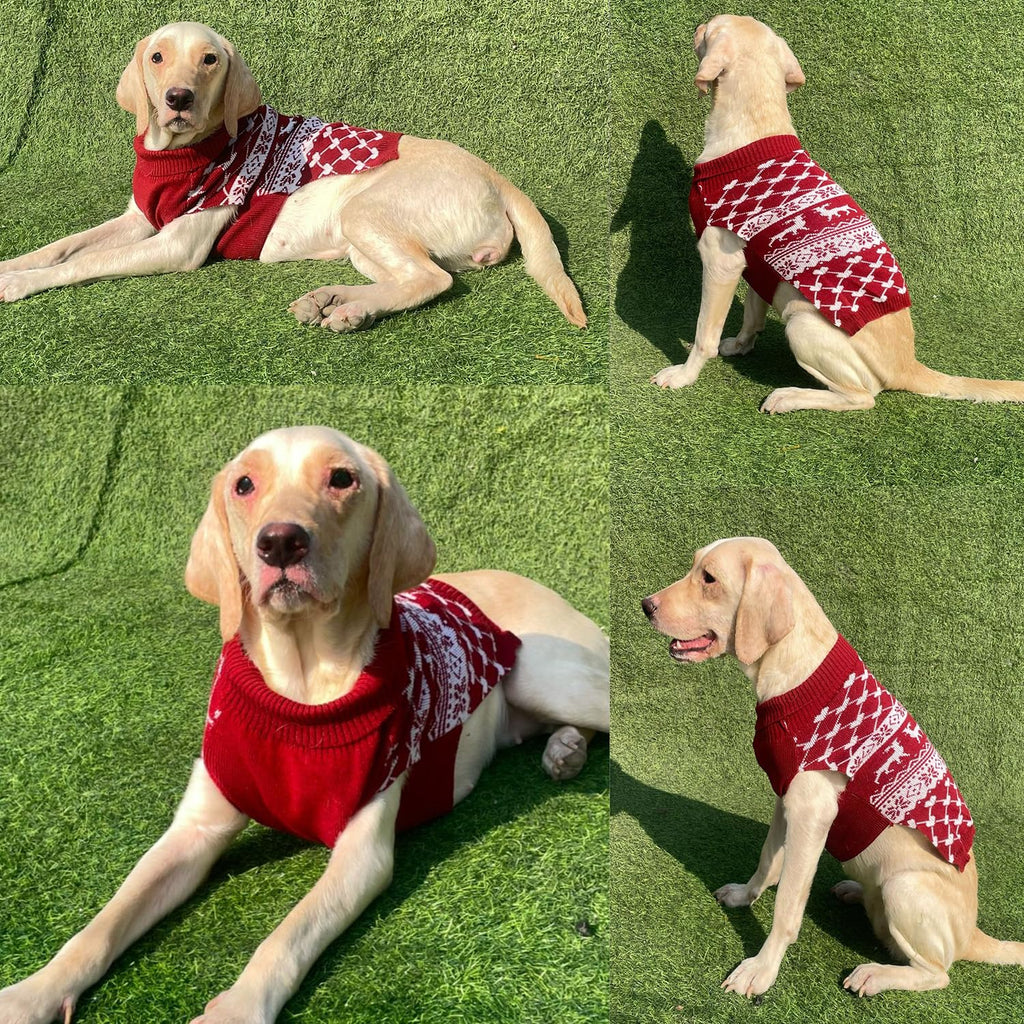 Dog Christmas Sweater - Pet Winter Knitwear