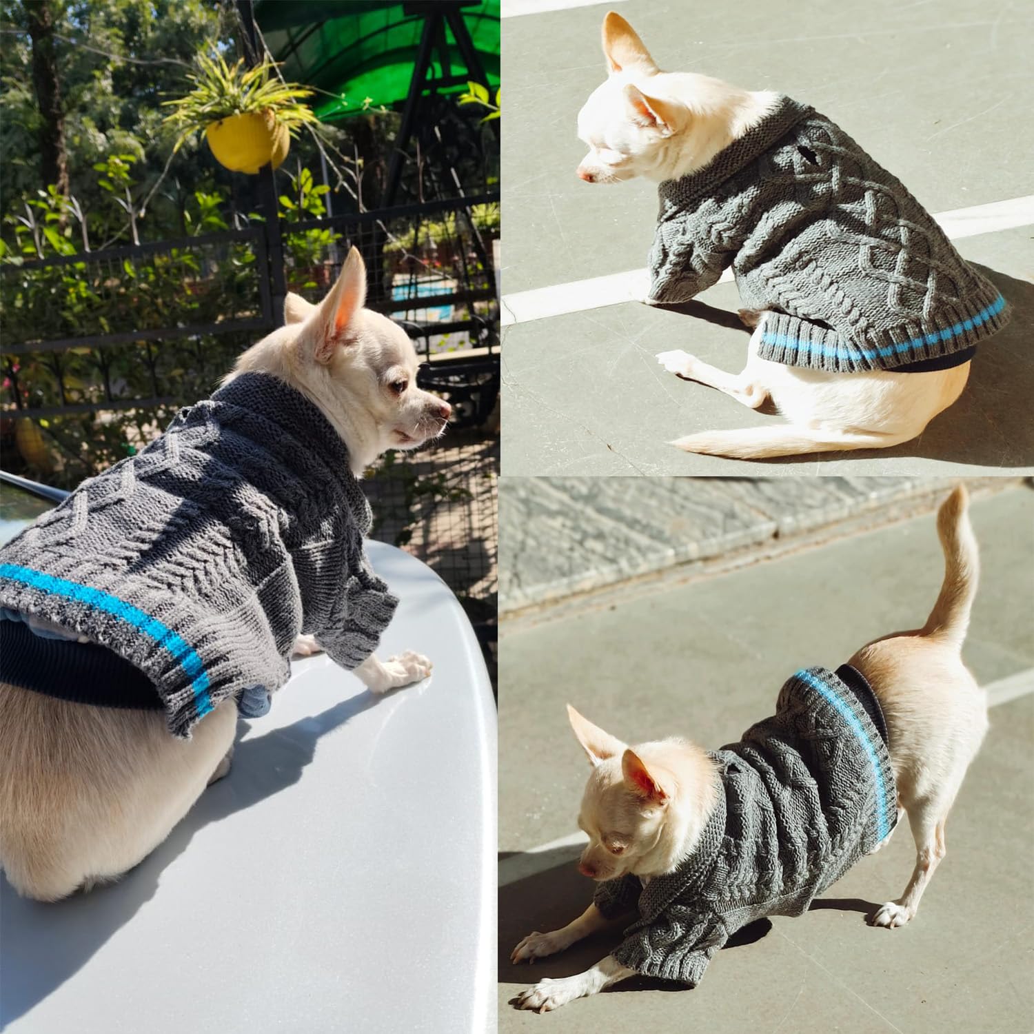 Winter Dog Sweater with Leash Hole